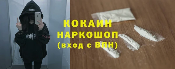 шишки Балахна